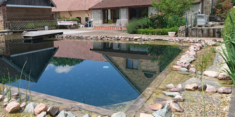 bassin-piscine-naturelle-dole