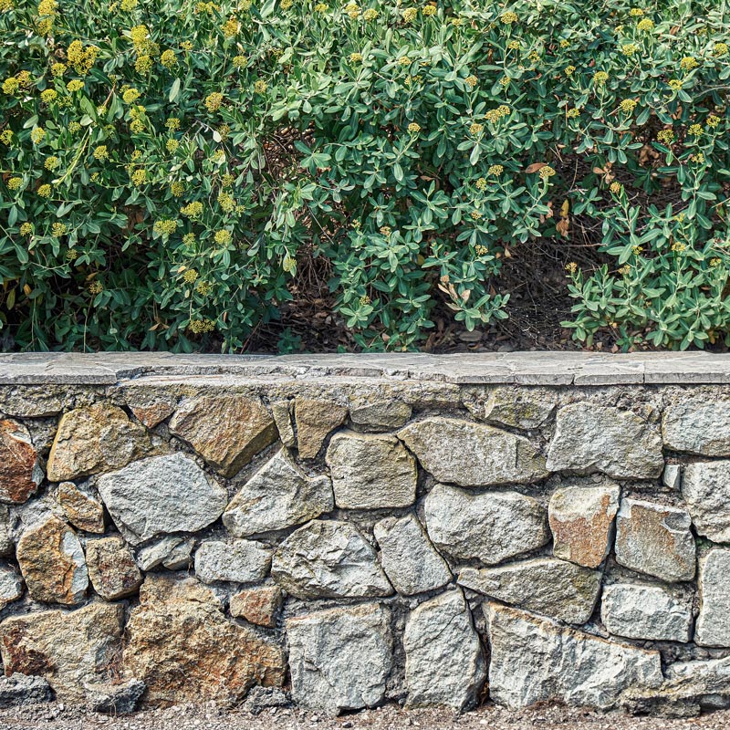 construction murs et murets