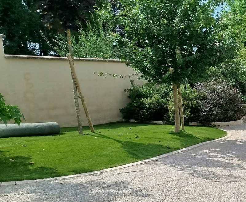 engazonnement allée cours