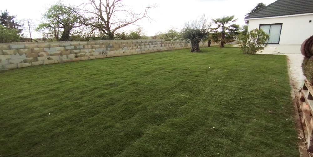 engazonnement jardin