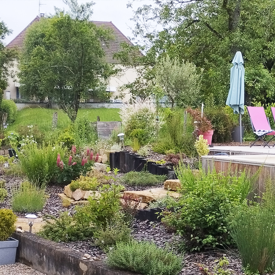 jardin vegetation plantation paysagiste