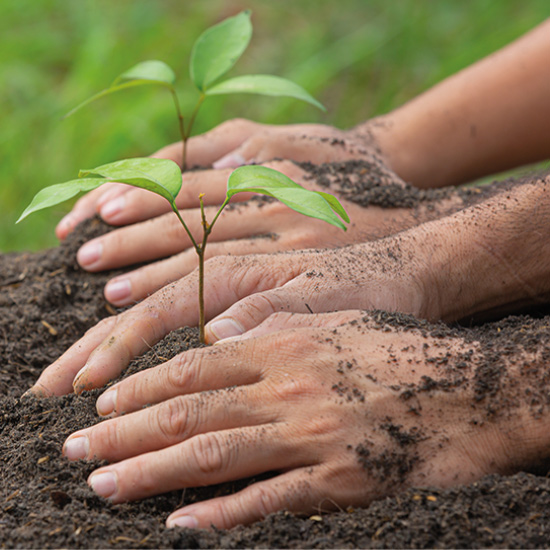 paysagiste-creation-jardin