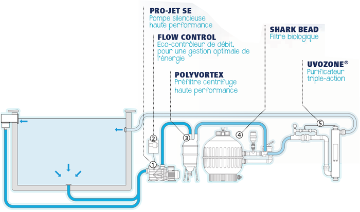 schéma filtration biologique pour piscine