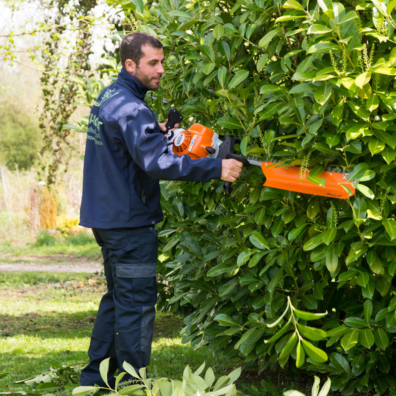 taillage de haie particulier