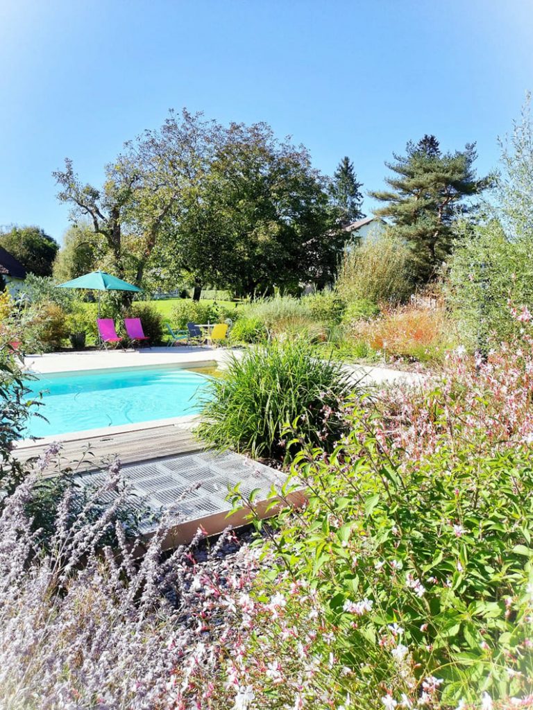 vegetation-autour-piscine