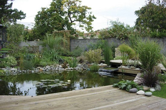 jardin aquatique