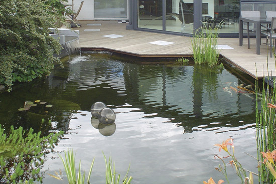 jardin aménagé avec bassin point d'eau