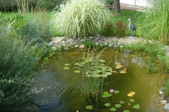 point d'eau marre jardin